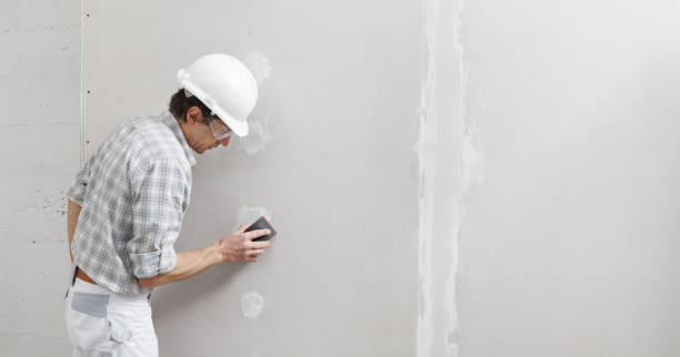 Best Mold Remediation for Vacation Homes  in USA